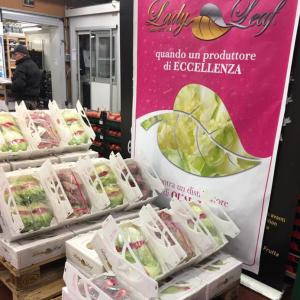 Gala Fruit e Lady Leaf hanno presentato una nuova gamma